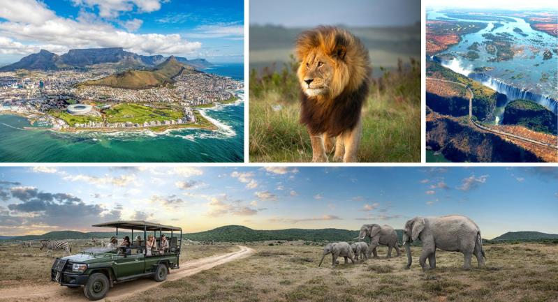 A Taste of South Africa & Safari Trip