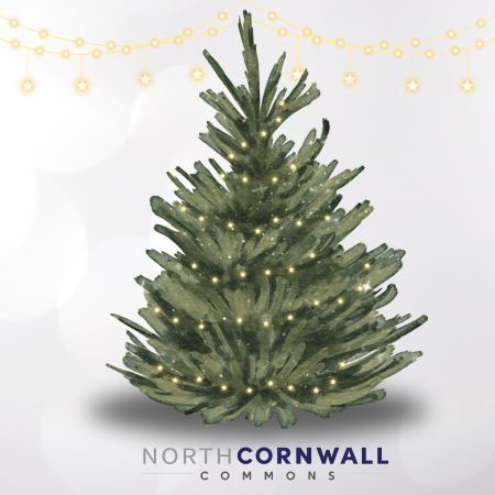 North Cornwall Commons Tree Lighting Ceremony