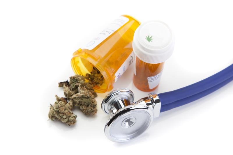 Panel: Medical Cannabis and Company Policies